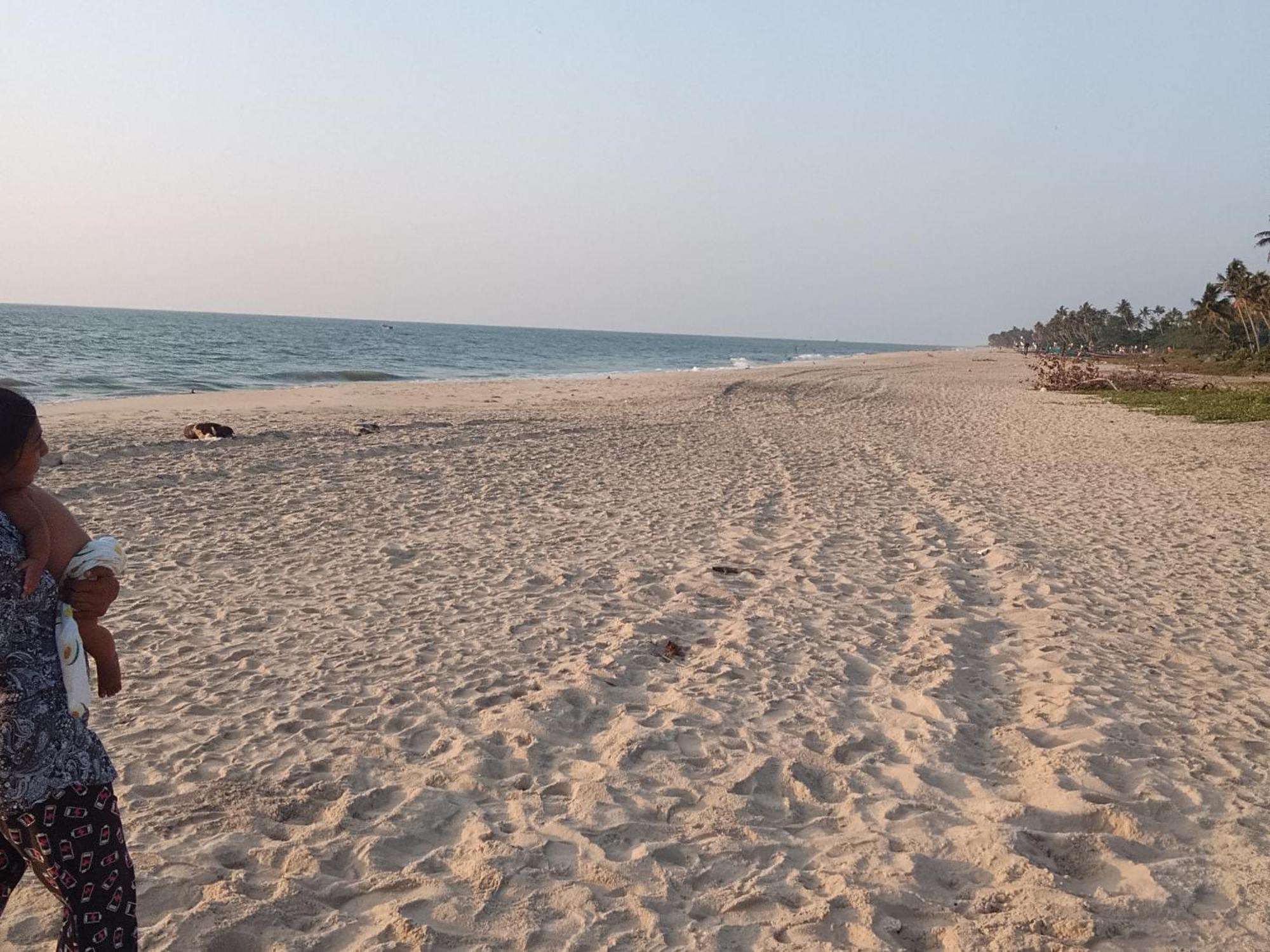 Homestay Little Paradise Alappuzha